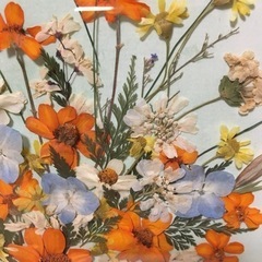 押し花アート(2)の画像