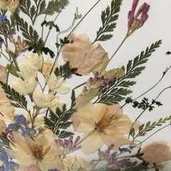 押し花アート(3)の画像