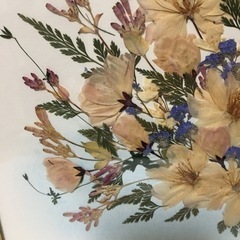 押し花アート(3)の画像