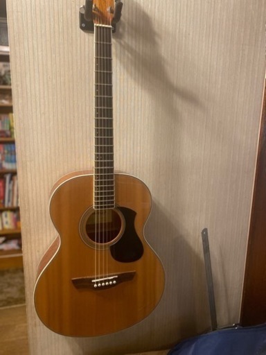 その他 james j-300a