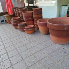 決まりました。　植木鉢まとめて