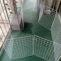 サークル。の画像
