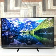 即日受渡❣️ELSONIC49型4K液晶テレビWチューナー外付け録画可能26500円