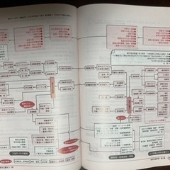 疾患別看護過程の画像