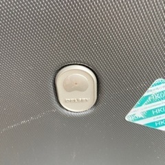 大きいスーズケースの画像