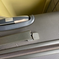 大きいスーズケースの画像