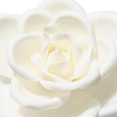 Francfranc　ウォールフラワー　ローズの画像