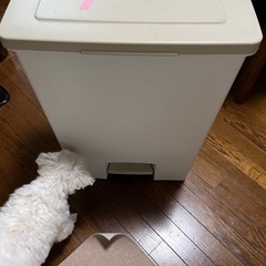無料:ゴミ箱