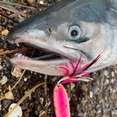 直接引き取りなので安いです。昨年700本越販売実績のふかせ名人。好評.爆釣.カラフト.鮭ルアー.ふかせ.鮭の画像