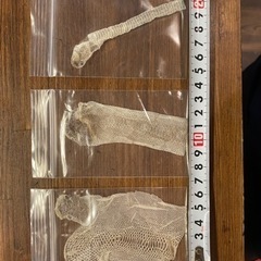 【蛇の抜殻】の画像