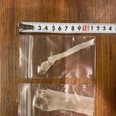 【蛇の抜殻】の画像