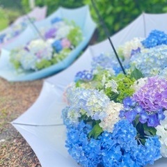 写活📷しませんか？😊✨ - 友達