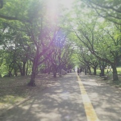 写活📷しませんか？😊✨ − 群馬県