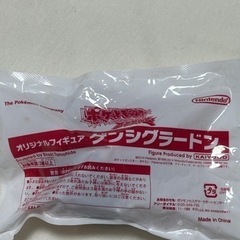 ゲンシグラードンです