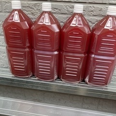 PSB 2リットルペットボトルに入ってます。