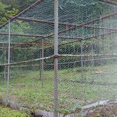 鳥獣害対策に　　メッシュ網鉄製