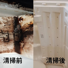 お風呂の解体洗浄｜エプロンの中はカビワールドです！
