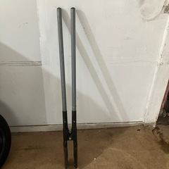 ダブルスコップ