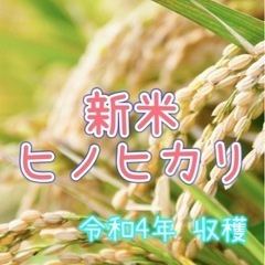 ?❤️?ヒノヒカリ?❤️?お得??❤️美味しいお米③⑤⑧
