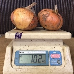 甘くておいしい玉ねぎ
