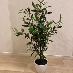 【引越し特価】フェイクグリーン　オリーブ