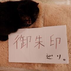 【良縁祈願！御朱印巡り】