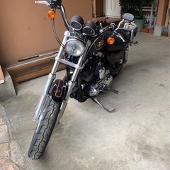 超希少！ハーレーダビットソン50thモデル　1200cc