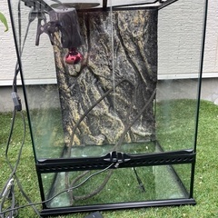 爬虫類飼育セット