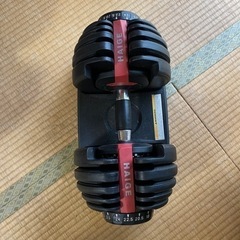 【取引決定】ハイガー　可変式ダンベル　2個の画像