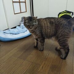 やんちゃな女のコです