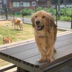 再募集です🐾