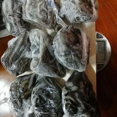 打ち込み釣りエサの画像