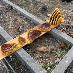 蜂駆除（沖縄県内） - 害虫/害獣駆除