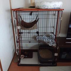 ボンビアルコン ウッドワンサークルキャット 2段タイプ(1台)