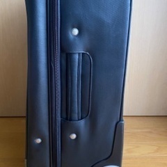 【本日最終】キャリーバッグの画像