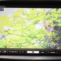 グリーンI?🌲マツダ デミオ スポルト🚗の画像