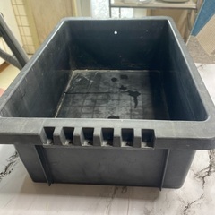 トロ船🐟🐠今週廃棄予定