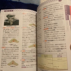 早稲田アカデミー　社会、理科資料集の画像