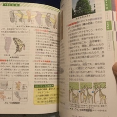 早稲田アカデミー　社会、理科資料集の画像