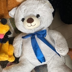 ぬいぐるみの画像