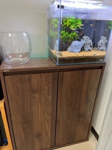 ADA水槽　写真全てセット