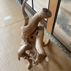流木　お部屋のオブジェにいかがですかの画像