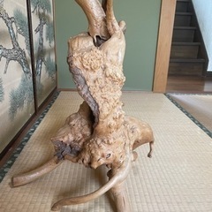 流木　お部屋のオブジェにいかがですかの画像