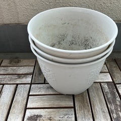 ビオラポット８号　3個セット