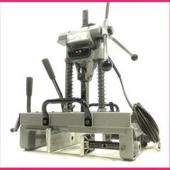 P. OMO ビカクシダ