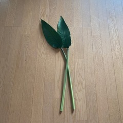 植物オブジェ