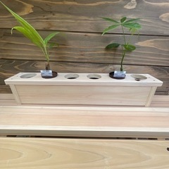 観葉植物の飾り台(ポット6㎝100均専用他)の画像