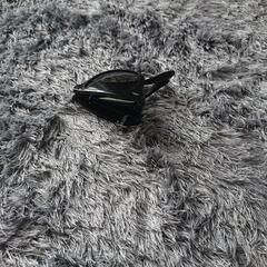 折り畳みサングラス  ユニクロの画像