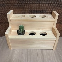 サボテンの飾り台(100均専用他)の画像