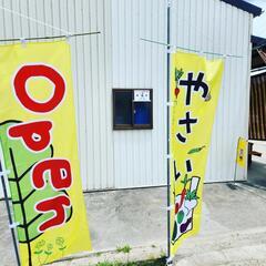無人販売します！自家製無農薬野菜120円～の画像